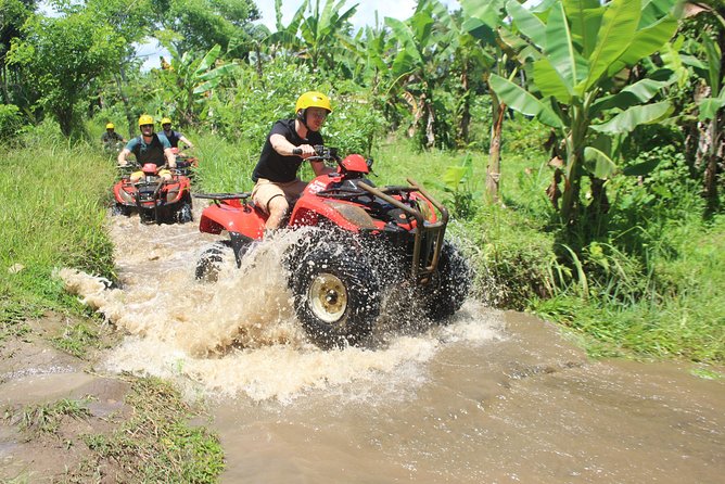 Bali Private Tour Guide And Driver - What the Guide Adds Beyond Driving