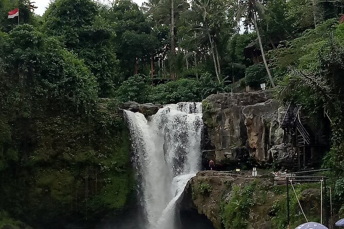 Bali Private Tour Guide And Driver - Comfort, Group Size, and Pace