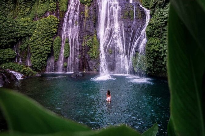 Bali Private Tour: Handara Iconic Gate, Watefall and Temple - Five things to know before you go