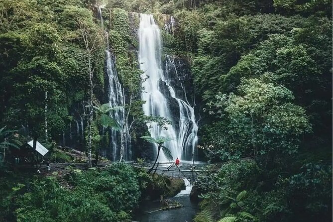 Bali Private Tour: Handara Iconic Gate, Watefall and Temple - Wanagiri Hidden Hills: Bali’s staged photo stop