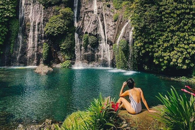 Bali Private Tour: Handara Iconic Gate, Watefall and Temple - Private transport makes the long day easier