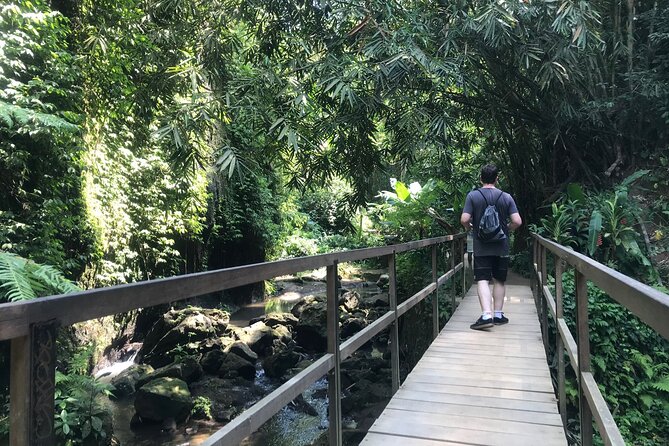 Bali Quad Adventure with Waterfall Tour - Booking, Cancellation, and What to Pack