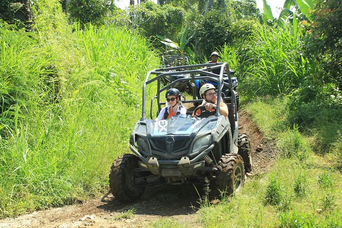 Bali Quad and Buggy Discovery Tour, Including Round-Trip Transfer - Is $75.94 good value?