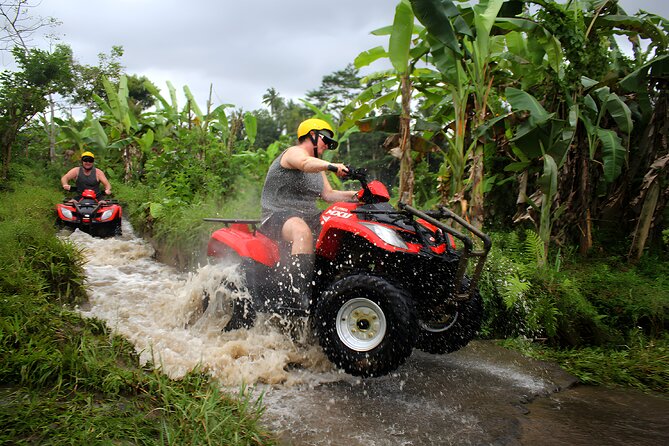 Bali Quad Bike Adventure - Ubud Best ATV Ride Activity - Jungle tracks, fields, and the rougher side of Bali