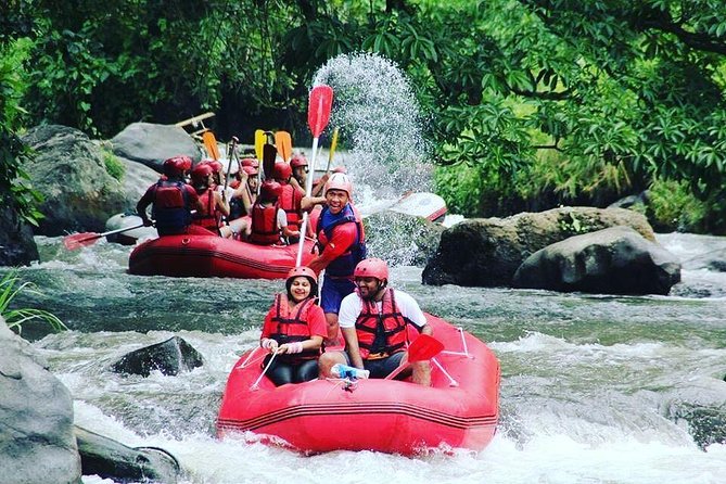 Bali Rafting Including Lunch and Transport - What the $22 price really covers
