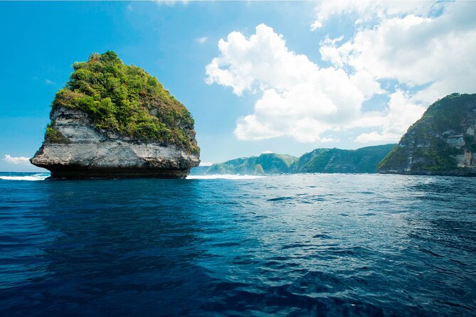 Bali Reef Cruise and Lembongan Island Day Trip - What the $164.29 price really buys