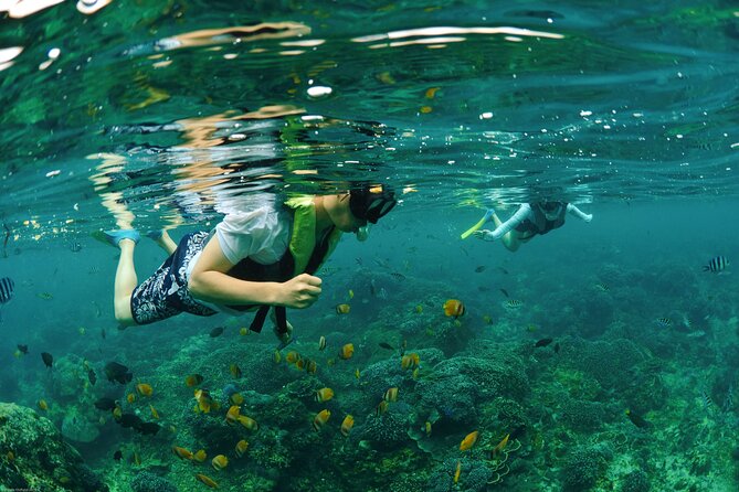 Bali Reef Cruise and Lembongan Island Day Trip - Who will enjoy this day most
