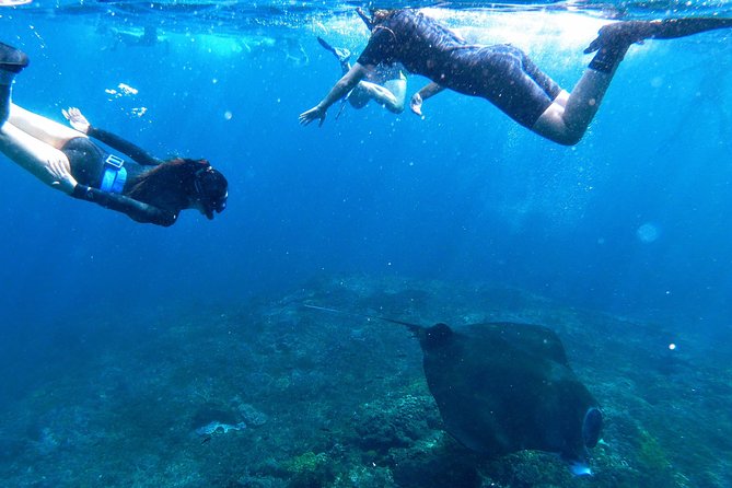 Bali Scuba Diving at Nusa Penida Manta Point For Certified Diver - The speedboat ride and motion sickness question