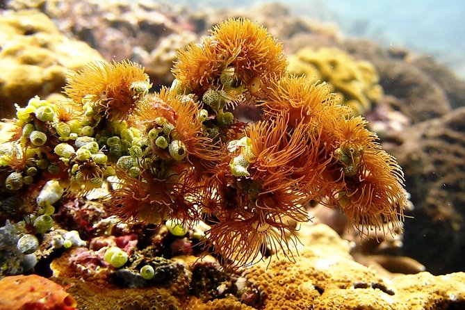 Bali Scuba Diving at Padang Bai for Certified Diver - The Road to Padang Bai at 8:15 AM