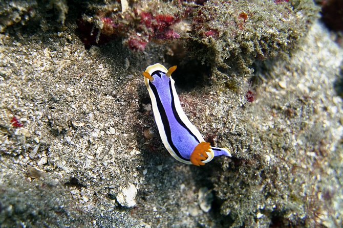 Bali Scuba Diving at Padang Bai for Certified Diver - Lunch Beside the Boat Launch