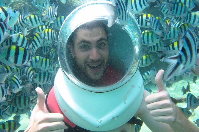 Bali Sea Walking Experience - The Marine Life and Water Visibility