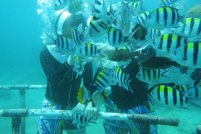 Bali Sea Walking Experience - Choosing the Uluwatu and Jimbaran Add-On