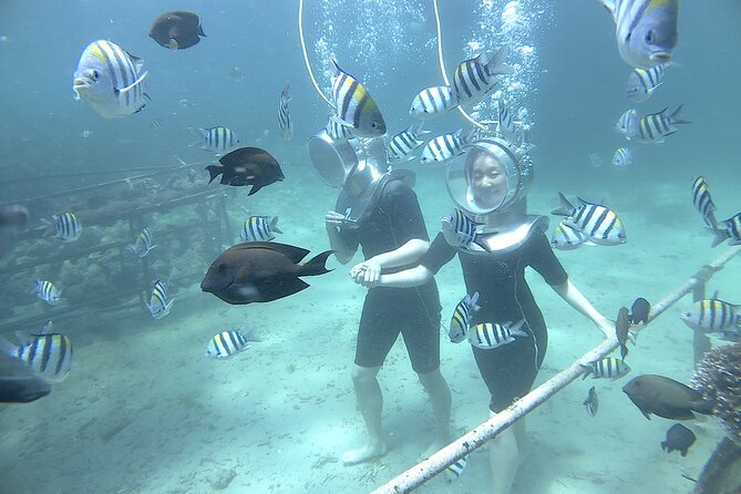 Bali Seawalker - From Hotel Pickup to Tanjung Benoa