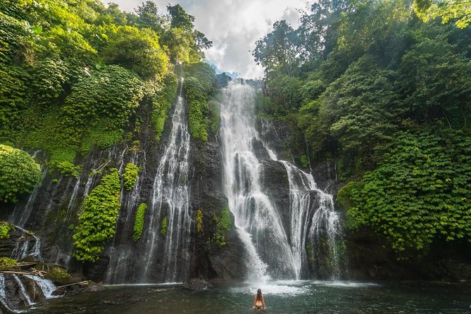Bali Secret Waterfall Tour - Private and All-Inclusive - Ubud, Monkey Forest, and other route options