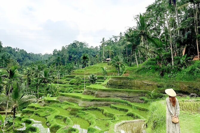 Bali Shore Excursions : Best of Bali Tour - Tegenungan Waterfall: Bali’s natural photo stop