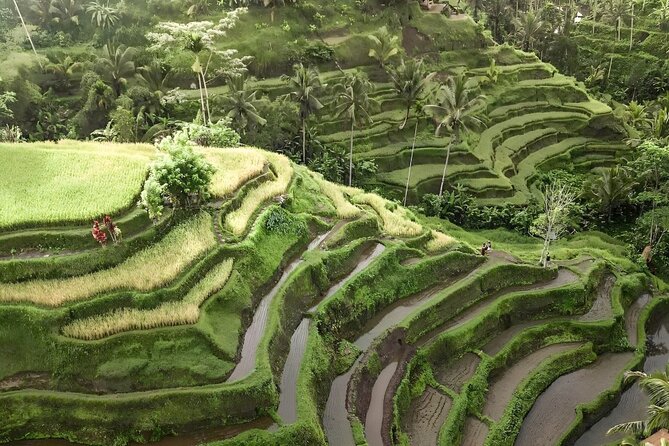 Bali Shore Excursions : Best of Bali Tour - Guides named Johnny and Marta