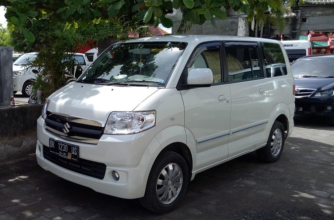 Bali Sightseeing Car Hire with English-speaking Guide and Driver - Waterfalls, beaches, and temples by private car