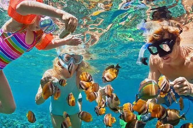 Bali Snorkeling at Blue Lagoon with Transport and Lunch - Key points to know before booking