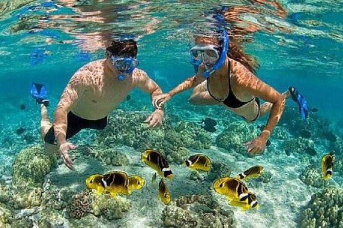 Bali Snorkeling at Blue Lagoon with Transport and Lunch - The morning road trip from your hotel