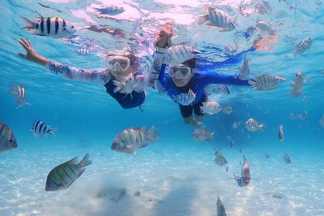 Bali Snorkeling Blue Lagoon with lunch &Optional waterfall Visit - Tanjung Jepun: Your First Swim