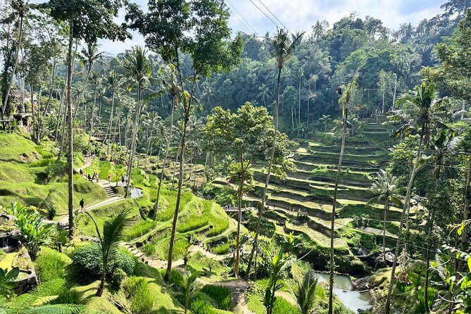 Bali Spiritual: Balinese Healing, Temple & Rice Terrace - Coffee tasting and lunch in the middle of the day