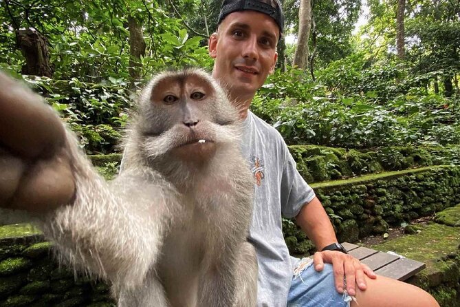 Bali Swing, Monkey Forest and Waterfall Private Tour - Food, timing, and what the $24.65 price really covers