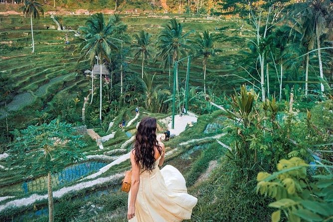 Bali Tour : Best Attractions in Ubud with Rice Terrace - Sacred Monkey Forest: two hours among temples and macaques