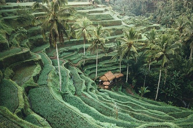 Bali Tour Customized With Local Guide - North Bali: lake temples and photo stops