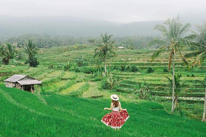 Bali Tour Package 9 Days 8 Nights - East Bali’s temples, gardens, and a quiet beach
