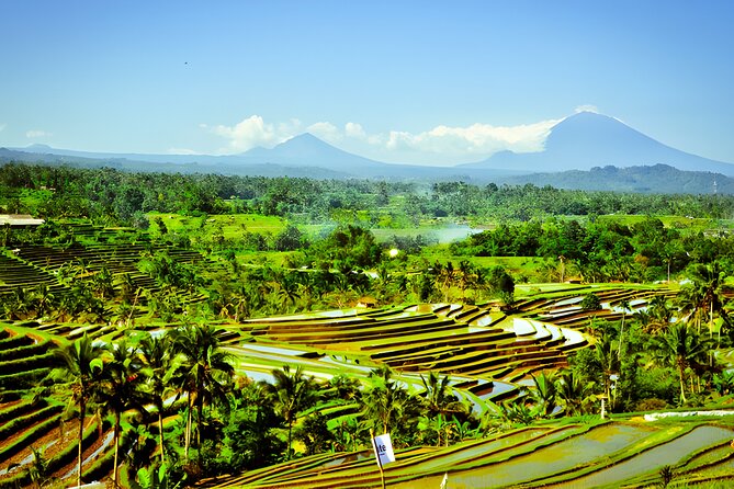 Bali Tour: The Best Way to Explore The Highlight of Bali - Jatiluwih and Bali’s working rice terraces