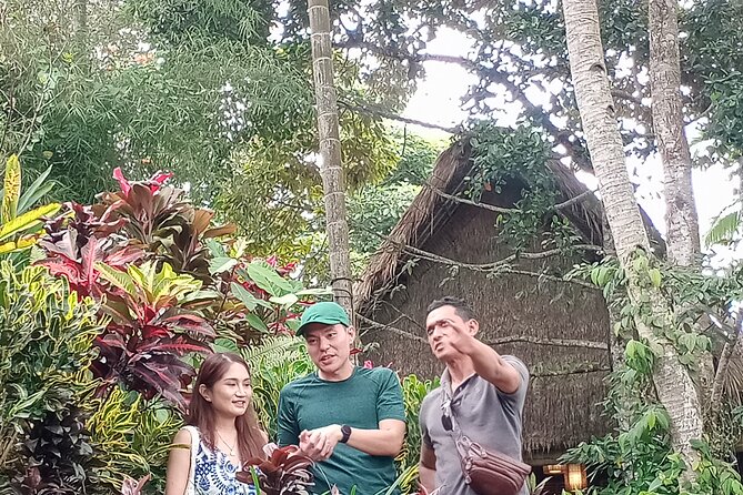 Bali Ubud Driver - Why a private driver makes sense around Ubud