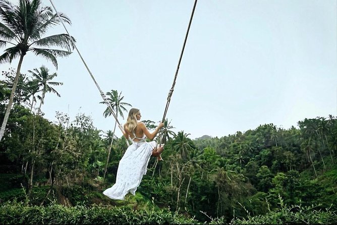 Bali: Ubud Highlights Tour with Private Guide and Transfers - Sacred Monkey Forest: a lively opening stop
