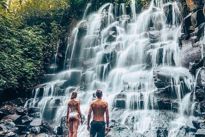 Bali: Ubud Highlights Tour with Private Guide and Transfers - Tegalalang Rice Terrace: Bali’s agricultural postcard