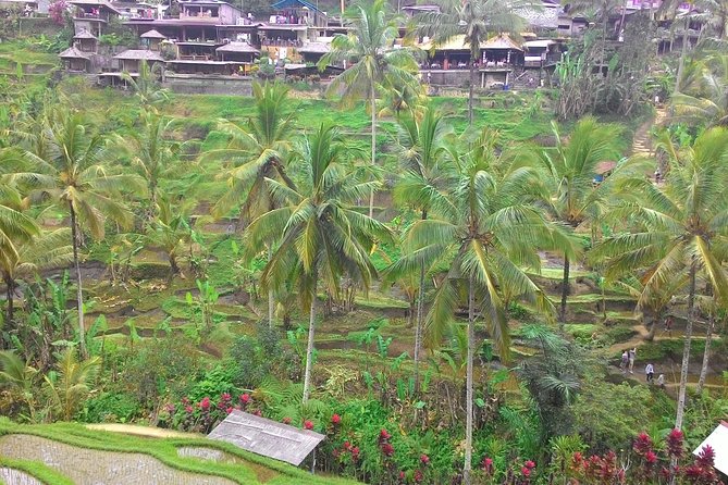 Bali Ubud & Kintamani Volcano Tour -All Inclusive - Batuan Temple and Bali’s carved stonework