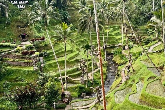 Bali Ubud Private Costomized Tour - Explore Bali your way - Cantik Agriculture: coffee tasting and included lunch