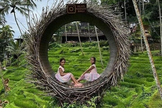 Bali Ubud Private Costomized Tour - Explore Bali your way - Sacred Monkey Forest: temples, trees, and clever macaques
