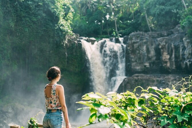 Bali Ubud Tour Monkey Forest, Waterfall, Temple & Rice Terrace - Lunch Is Flexible, but Not Included