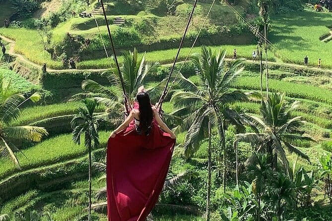 Bali Ubud Tour Monkey Forest, Waterfall, Temple & Rice Terrace - 9:00 AM at the Sacred Monkey Forest Sanctuary