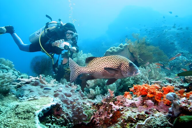 Bali Water Sport Jumbo Packages - Parasailing, Jet Ski, and flying fish