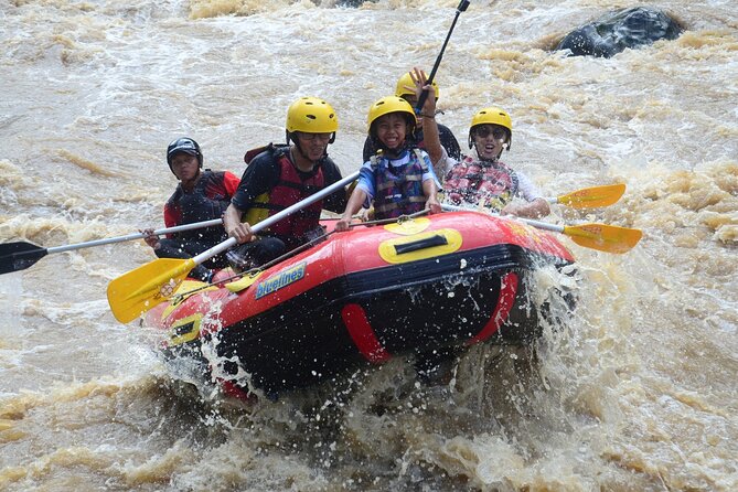 Bali White Water Rafting with Sacred Monkey Forest and Swing - Why this private Bali day trip works