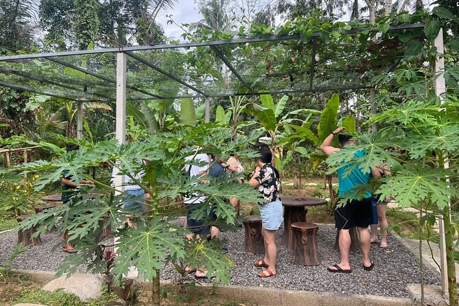 Balinese Cooking Class with Traditional Market Tour - How the six-hour schedule really works
