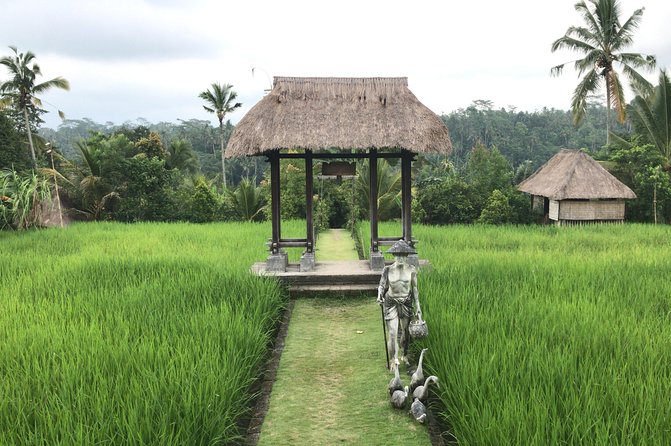 Balinese Life Style Tour - Segara Windhu Coffee Plantations ends with a tasting