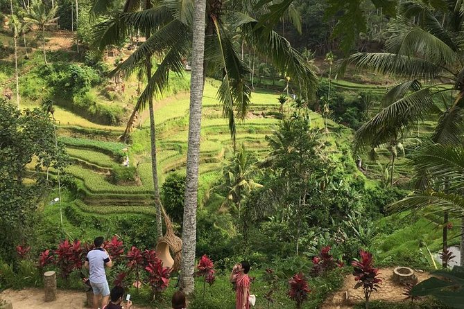 Balinese Life Style Tour - Is $74 a good value?
