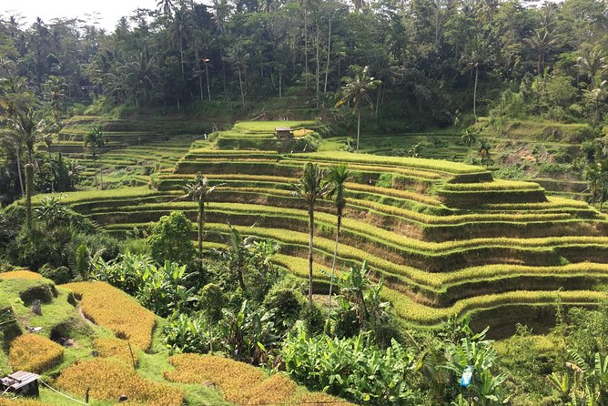 Balinese Life Style Tour - Who will enjoy this tour most?