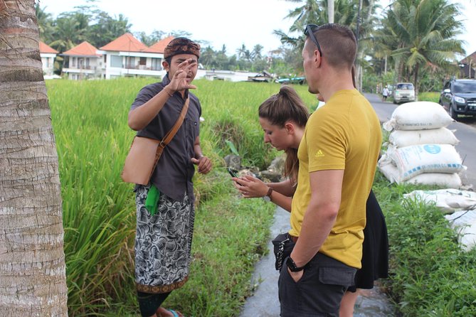 Balinese Ubud cooking school (9 Dish Cooking and Market Tour) - Is $58 good value?