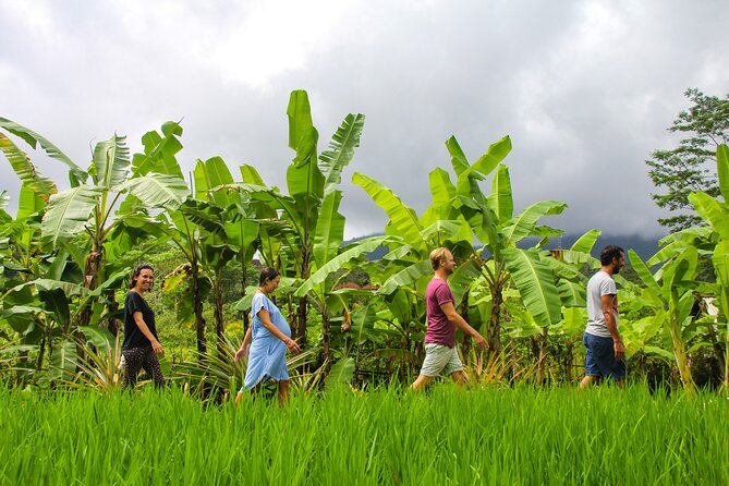 Balinese Vegan Cooking Class with Fresh Harvesting & Garden Tour - From garden soil to Balinese lunch