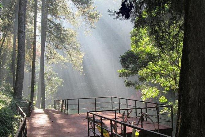 Bandung Private Tour Mountain Volcano and Hotspring ( Overland ) - Key points at a glance