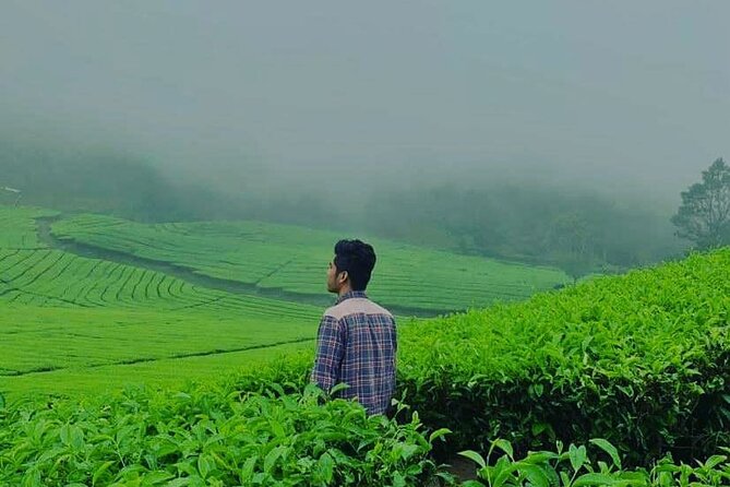 Bandung Tour Volcano, Hotsprings, Mud, Tea, Lunch all Included - Patenggang Lake and an Included Local Lunch