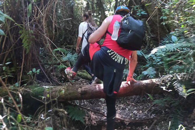 Bandung Tour Volcano, Hotsprings, Mud, Tea, Lunch all Included - The Guides Can Shape the Whole Day