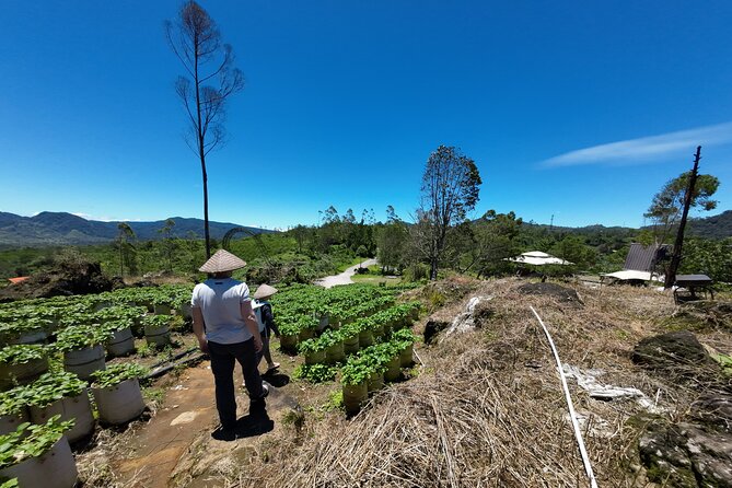Bandung Volcano Sightseeing and Hot Spring Private Tour - Choosing between southern and northern Bandung